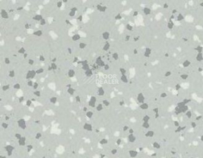 Линолеум Taralay Premium Brazilia 8736 Recife фото 1 | FLOORDEALER